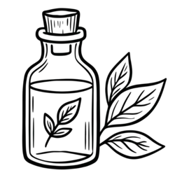 Essential Oil